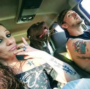 Meet your Posher, Nic tabby